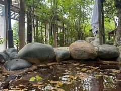 -张家港金凤凰度假村温泉
