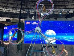 -杭州野生动物世界
