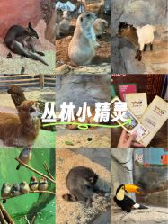 -Zoolung Zoolung动物主题公园(海信广场店)