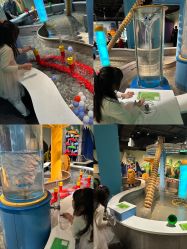 -北京科学中心儿童乐园