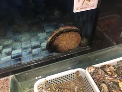 -官也街澳门火锅(新源里店)