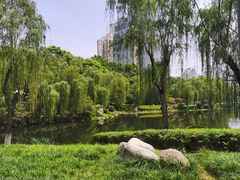 -后襄河公园