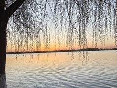 -丁香湖公园