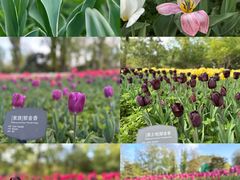 -国家植物园