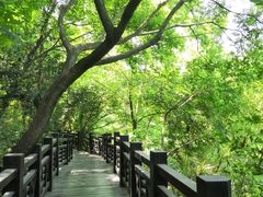 -白马涧龙池景区