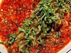 -南堂馆·新川菜(春熙路店)