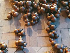 -广州柏悦酒店·悦景轩·粤菜餐厅