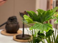 -叶叶菩提·晋福宫