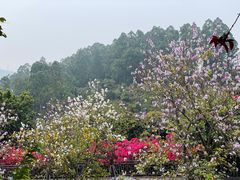 -小南山公园