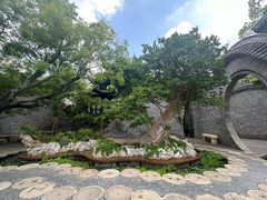 -朴园