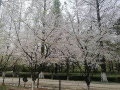 景点-宝岩生态观光园