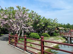 -东平国家森林公园