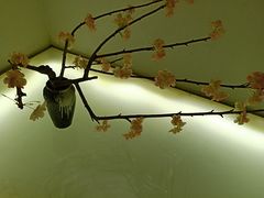 -汤森悠生活文化汤(江宁万达店)