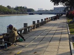 -白鹭洲公园