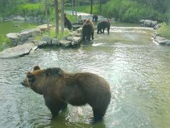 -北京野生动物园