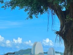 -太平洋咖啡(海天驿站店)