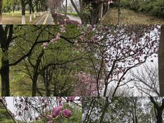 -艾溪湖湿地公园