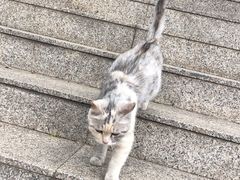 -交通银行(北京天坛支行)