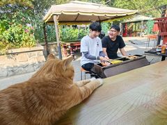 -尚庄度假村·庭台树下·户外烧烤·团建CS·轰趴营地(上庄水库店)