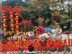 -晓港公园