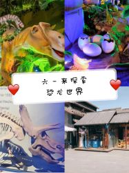 -恐龙探索乐园(磁器口店)