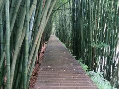 -四洞沟景区