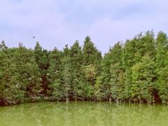 -顺峰山公园