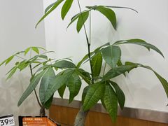 -海马体家庭照相馆(深圳笋岗万象食家家庭店)