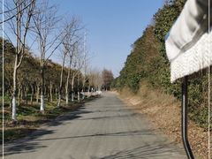 -上海海湾国家森林公园