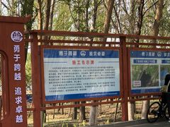 -丁香湖公园