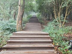 -潜山国家森林公园