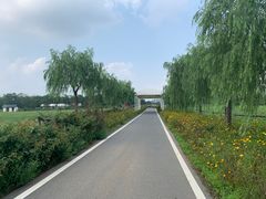 -大连铭湖国际观光牧场
