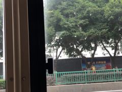 -菜园坝水果市场