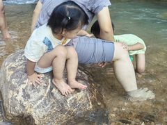 -广州白江湖森林公园