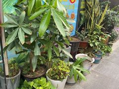 -椰荟四季音乐主题餐厅(大芬店)