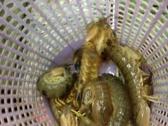 -乡味海鲜农家菜·巽寮土窑鸡(地道美食店)