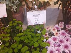 -花邻FloweringLife花艺气球派对(武康大楼店)