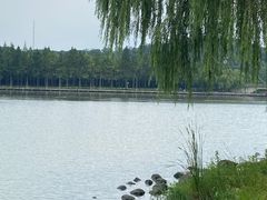 -上海月湖雕塑公园