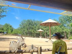 -大连森林动物园