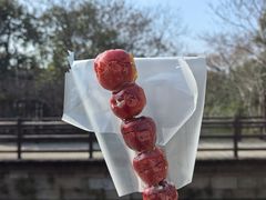 -杭嘉湖咬强羊肉面馆(永兴路总店)