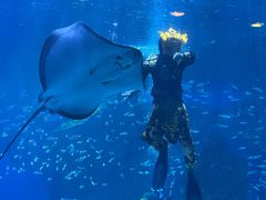 -海合安成都极地海洋公园