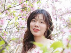 -天适樱花悠乐园