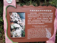 -赤水丹霞旅游区·佛光岩