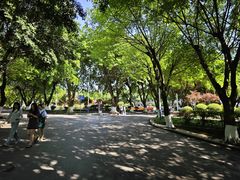-西南政法大学(沙坪坝校区)