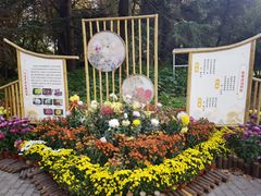 -上海共青森林公园