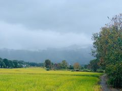 -塔川景区