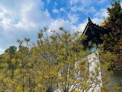 -青岛崂山太清宫