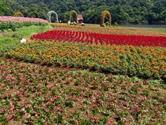 -广州市石门国家森林公园