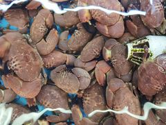 荷包蟹-龙溪海鲜酒家(溪涌店)