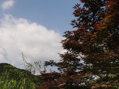 -桃花岭景区